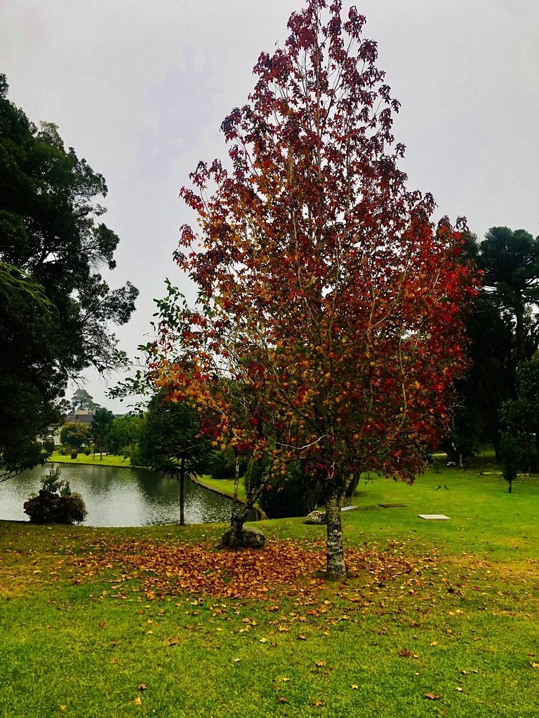 Casa Exclusiva Com 3 Suítes Em Condomínio Luxo