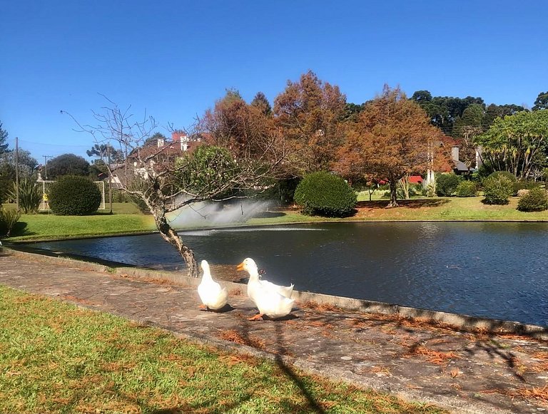 Casa Exclusiva Com 3 Suítes Em Condomínio Luxo
